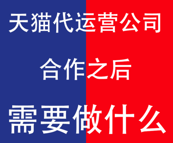 天貓代運營公司 天貓代運營公司
