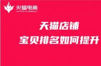 天貓星級服務商（天貓星級服務商怎么申請的）